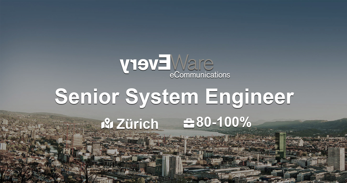 Senior System Engineer | EveryWare AG
